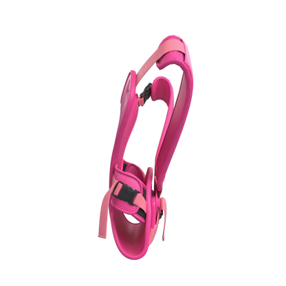 Pink Flamingo